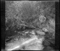 H. H. West Jr. fishing in Pine Creek, Inyo County vicinity, about 1930