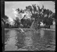 Water slide with swimmers climbing it and landing in the water at Lewis Lake, Elliott vicinity, 1900