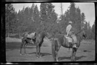 Wilfrid Cline, Jr. riding horseback while holding the bridle of another horse, Burney Falls vicinity, 1917