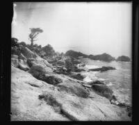 View of the rocks and ocean from the 17-Mile Drive, Monterey, about 1898