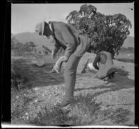 Bob and Webster Brain cleaning rabbits, Irwindale, about 1900