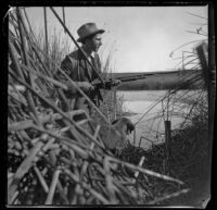 Guy M. West and his dog lurk in the tules while duck hunting, Long Beach vicinity, about 1895