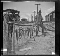 H. H. West posing on the beach with several fish, Newport Beach, 1914