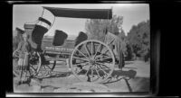 Mertie West poses beside the Death Valley Express wagon, Death Valley National Park, 1947