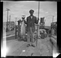 Fisherman posing with a big sea bass on Newport Pier, Newport Beach, 1914