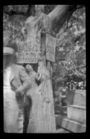 Signs hanging on a tree at the Iowa Picnic in Bixby Park, Long Beach, 1938