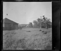 Planks of wood on the future site of the Whitaker's house at 2223 Griffin Avenue, Los Angeles, about 1902