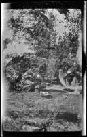 Someone washes dishes in camp, Shasta County, 1917