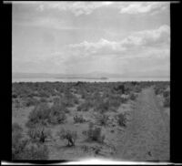 Mono Lake, viewed from a dirt road, Mono Lake, 1913