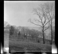 A view of the Potomac River from the Mount Vernon Estate of George Washington, Mount Vernon, 1914