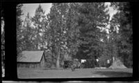 Wilfrid Cline, Jr. walking from the campsite, Burney Falls vicinity, 1917