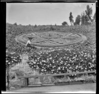 Ellen Lorene (Pinkie) Lemberger sits by a flower bed designed in the shape of a star, Los Angeles, 1901