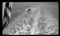 Boat following the Wests' ferry in its wake, Santa Catalina Island vicinity, 1948