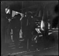 A porpoise hangs beneath the wharf as a small crowd looks on, Newport Beach, 1899