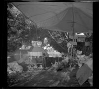 Mertie West, Agnes Whitaker, Josie Shaw and Forrest Whitaker taking a meal beneath their camp canopy, Mono County, 1941