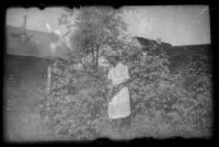 Mertie West picking raspberries in the Kinsell's backyard, Anchorage, 1946