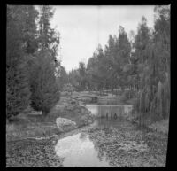 Footbridge over the lake at Lincoln (Eastlake) Park, Los Angeles, about 1900