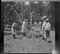 Elizabeth West, Frances West, Irene Schmitz, Chester Schmitz and an unknown girl play with a pet monkey in camp, Warner Springs vicinity, about 1915