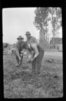 Elmer Cole digs for worms as Al Schmitz and Charlie Stavnow watch, Bishop, 1918