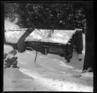 Old log cabin at Strains camp covered in snow, Mount Wilson, 1909