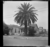 Former residences of the Cooper, Ambrose and Keyes families on Avenue 24, viewed from the east, Los Angeles, 1936