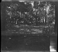 Members of the Smith West tour in camp at Silver Lake, June Lake vicinity, 1913