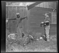 Waller Chanslor and Roger Stearns cleaning ducks, Gorman vicinity, circa 1910s