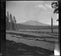 Burney Mountain (probably) with trees, a field, and a fence in the foreground, Burney vicinity, 1915