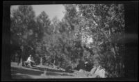 First camp of the H. H. West group near Gardner Creek, about 1919