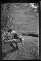 Jesse Brown spears a trout, June Lake, about 1920