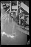 Fishermen unloading salmon at a dock, Ketchikan, 1946