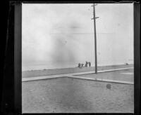 People stand on the beach watching for battleships, Venice, 1908