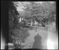 Hebard West working on the lawn of the McDonald home, Burbank, 1947