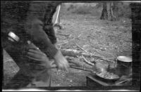 Trout cooking in a pan in camp, Burney Falls vicinity, 1917