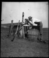 William Mead drinks from a bucket filled with water from a spring, Elliott vicinity, 1900