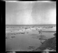 Gun club ponds, Lancaster vicinity, about 1930