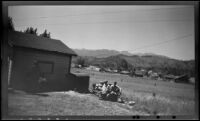 View looking west from the train while stopped at Mount Shasta station, Mount Shasta, 1947