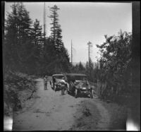 H. H. West's Buick and Ray's [Schmitz] Buick parked along the lane near the Mendocino Lumber Company's house, Mendocino County, 1915