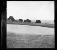 Golf course with trees and hills in the background, Monterey, about 1898