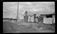 Rest room standing near the end of the clothesline, Circle, 1946
