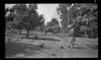 Mertie West approaches her parents' graves in Forest Lawn Cemetery on Decoration Day, Glendale, 1943