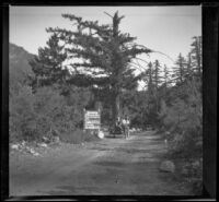 H. H. West's family and friends in a car on a dirt road, Mount Baldy vicinity, about 1914