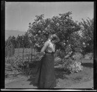 Ellen Lorene (Pinkie) Lemberger smells a flower, Crafton, 1901