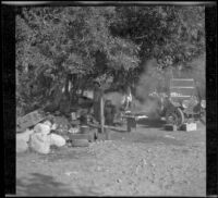 Dave F. Smith standing by the stove in the campsite near Cottonwood Creek, Inyo County, 1913