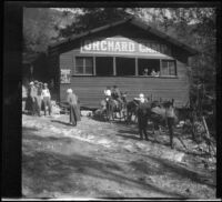 Visitors to Mount Wilson arrive at Orchard Camp, Mount Wilson, about 1909