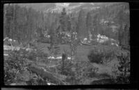 Meadow near the camp of H. H. West and friends on a trip to Gardner Creek, about 1919