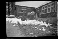 Laborers shoveling snow off the porch of a Lodge close to Bright Angel Point, 1942