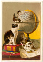 Dr. Thomas' Eclectric Oil [inscribed]