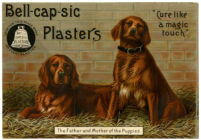 Bell-cap-sic Plasters [inscribed]