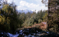 Chile (Cajón del Maipo) - Mountain scene, between 1966-1967